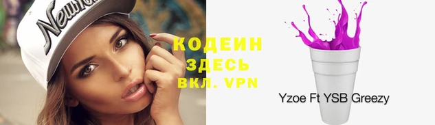 шишки Володарск